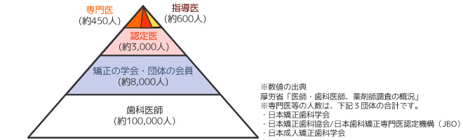 歯科医師数