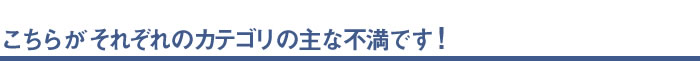 こちらがそれぞれのカテゴリの主な不満です